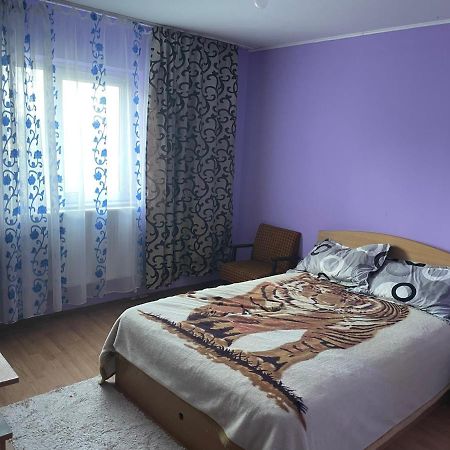 Апартаменти Sofia Rezidence Dragasani Екстер'єр фото